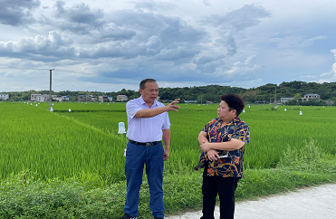 首页 网上投稿 永州市唐慧云指出,零陵区要抓住开展粮食作物病虫害