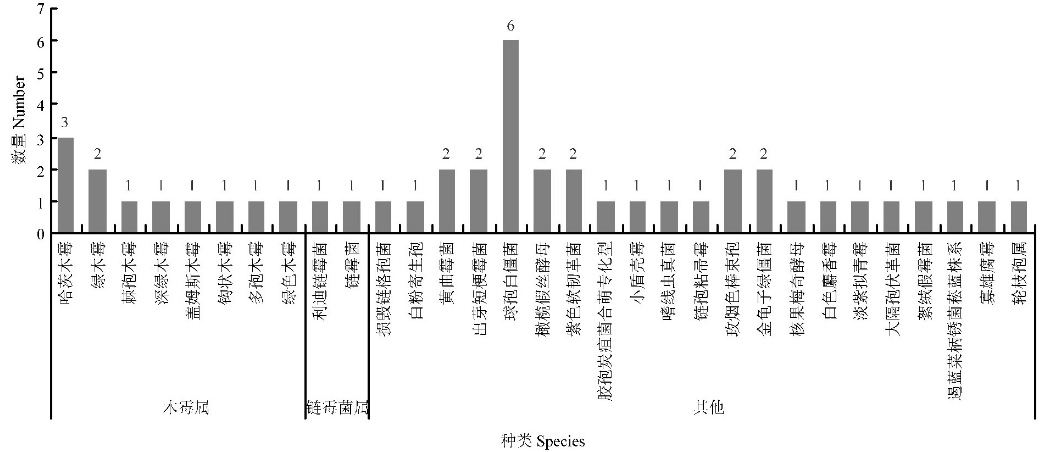 QQ20241225-111330.png